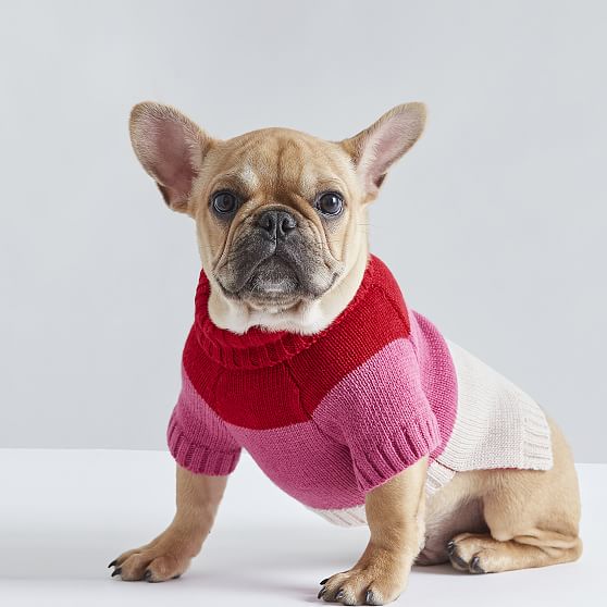 Knitted dog outlet jacket