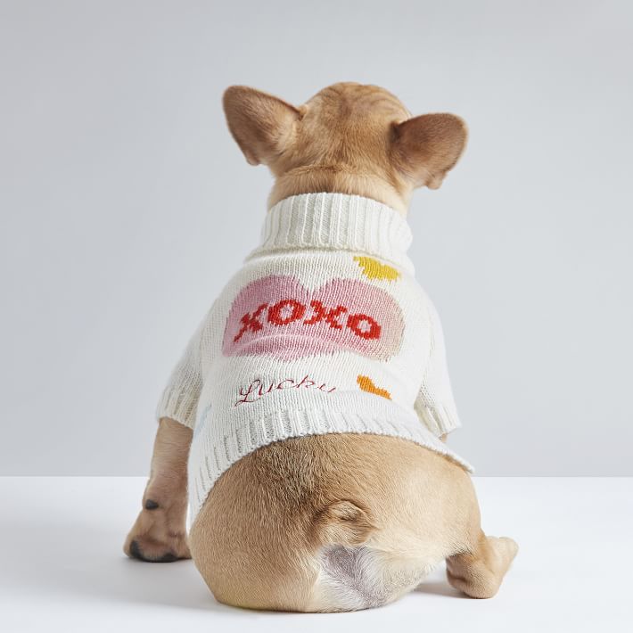 Valentines day shop dog sweater