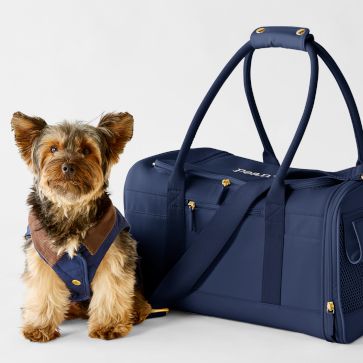 Pet Carriers + Accessories