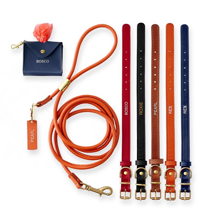 Italian Leather Dog Leash