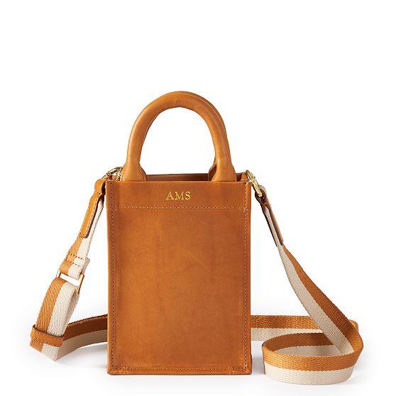 Hayden Leather Mini Tote