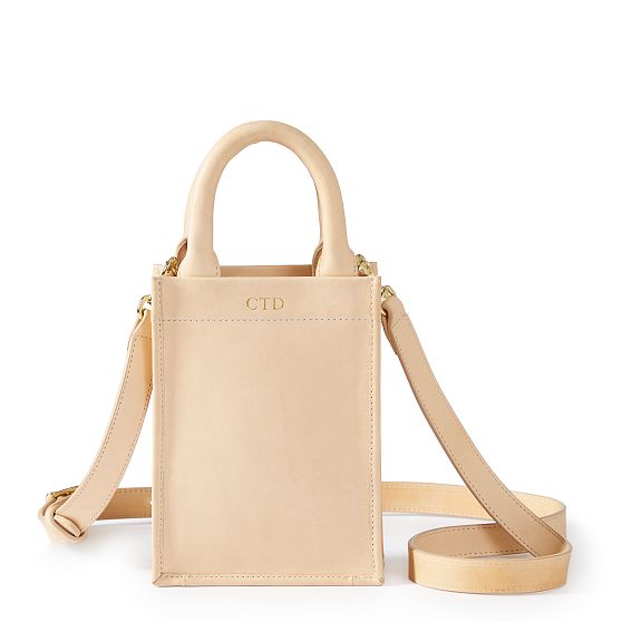 Hayden Leather Mini Tote