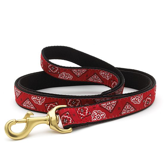 Patterned Ribbon Leash