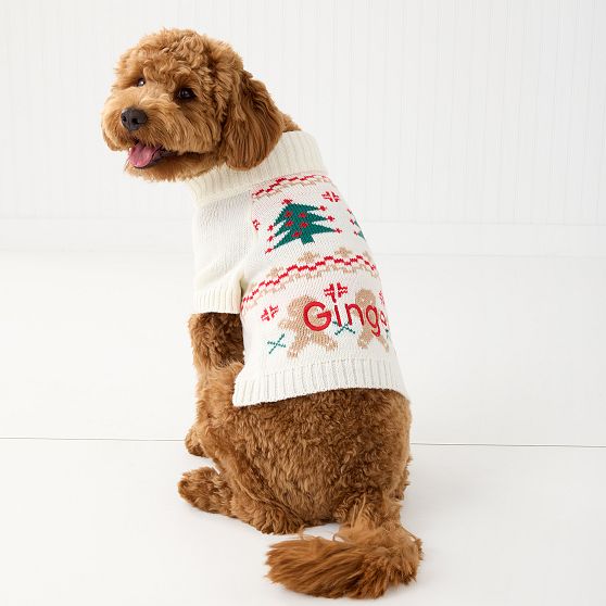 Knit Dog Sweater