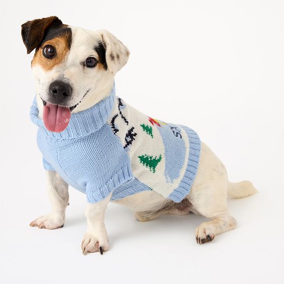 Knit Dog Sweater