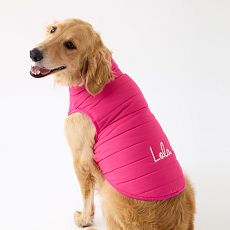 Personalized dog jacket best sale