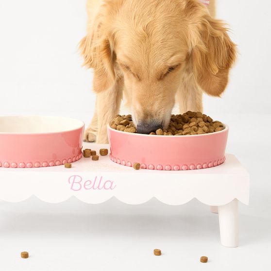 Beaded Ceramic Pet Bowl