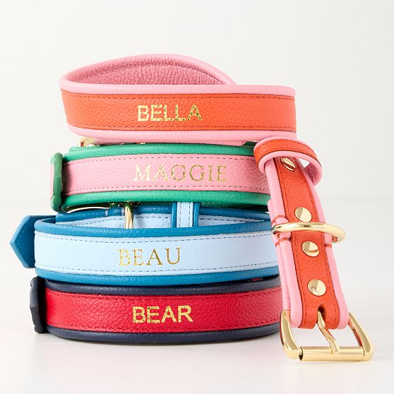 Two-Color Leather Dog Collar