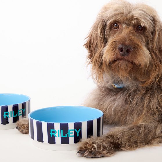 Striped Ceramic Pet Bowl