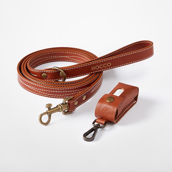 Carson Leather Dog Leash Set