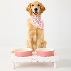 Build Your Pet Bowl Stand
