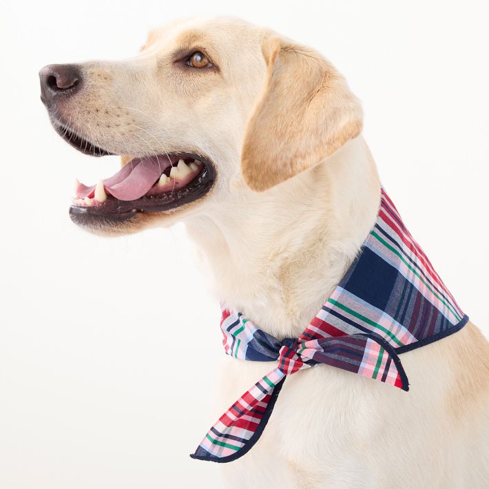 Patterned Dog Bandana