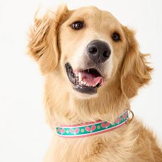 Ribbon Collar