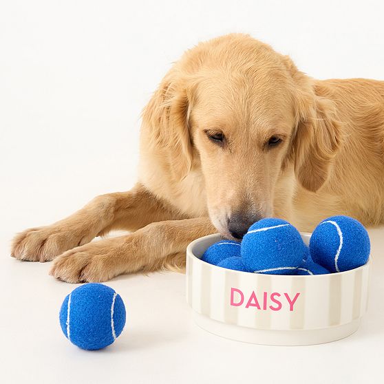 Striped Ceramic Pet Bowl