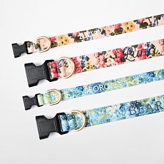 Sanderson Dog Collar