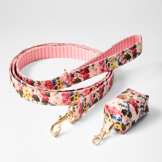 Sanderson Dog Leash Set