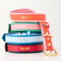 Collars + Leashes image