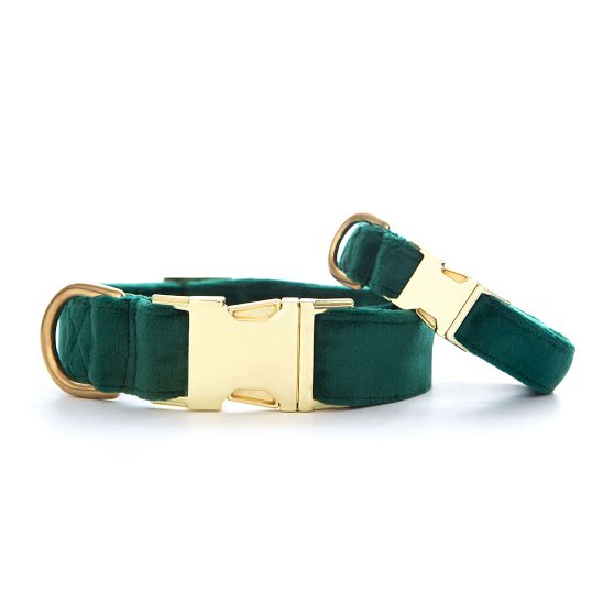 The Foggy Dog Velvet Collar
