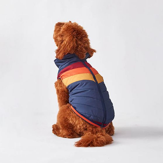 Chevron Puffer Pet Jacket