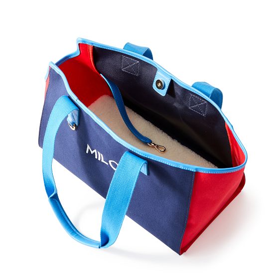 Color Block Canvas Dog Tote