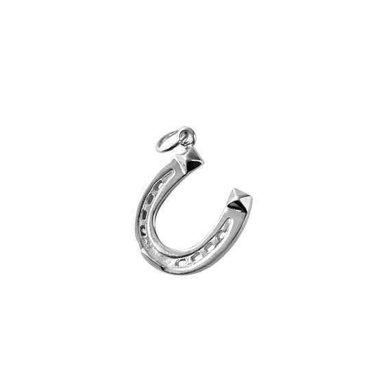 Lucky Horseshoe Charm