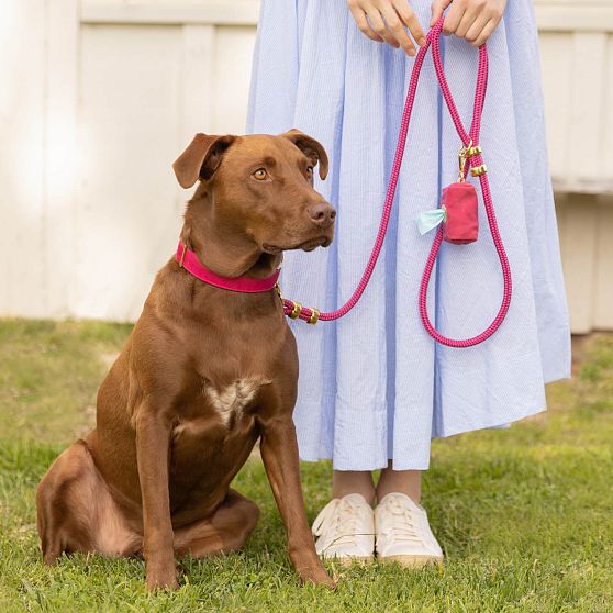 The Foggy Dog Leash Set