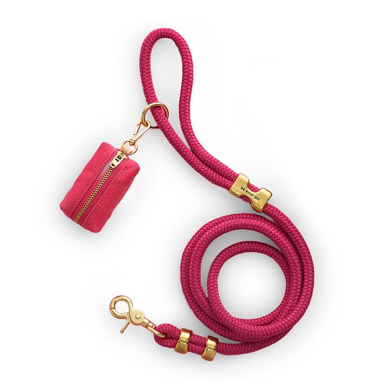 The Foggy Dog Leash Set