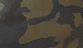 Green Camo