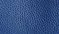 Cobalt Pebbled Leather