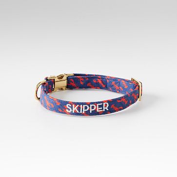 The Foggy Dog Collar, X-Small, Catch of the Day