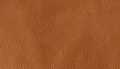 Camel Sauvage Leather