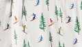 Ski Resort
