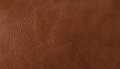 Hazelnut Sauvage Leather