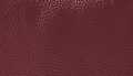 Port Sauvage Leather