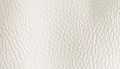 White Pebbled Leather