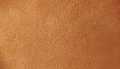 Camel Suede
