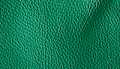 Kelly Green Pebbled Leather
