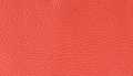 Coral Pebbled Leather