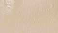 Taupe Pebbled Leather