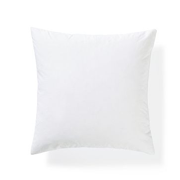 Pillow Insert