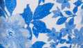 Blue Roses