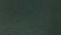 Racing Green