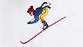 Skier