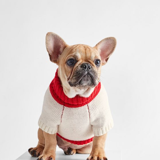 Ho Ho Ho Holiday Knit Dog Sweater
