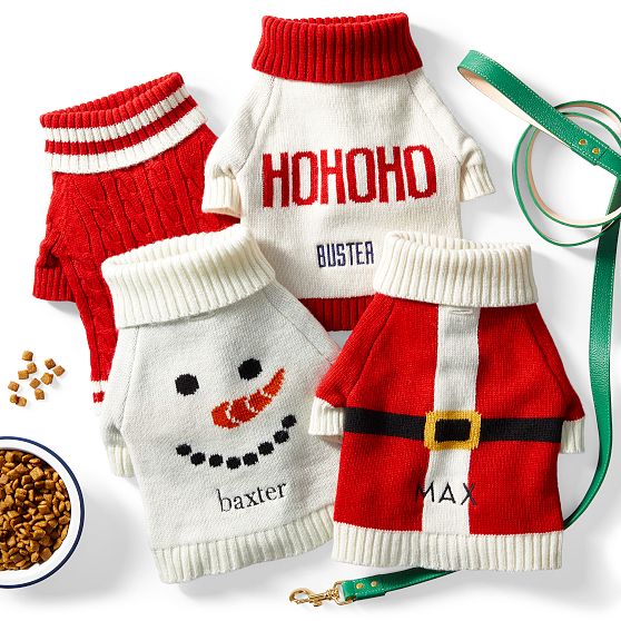 Santa Knit Dog Sweater