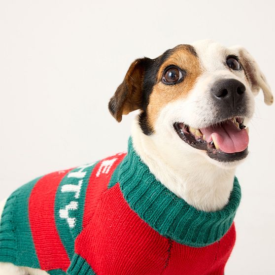Knit Dog Sweater