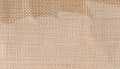 Natural Raffia