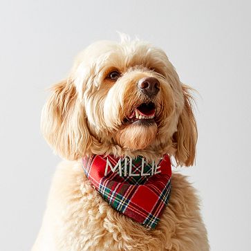 Holiday Dog Bandana