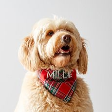 Holiday Dog Bandana