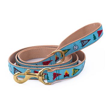 Patterned Ribbon Leash, 5' Wide Lead, Camp Woof